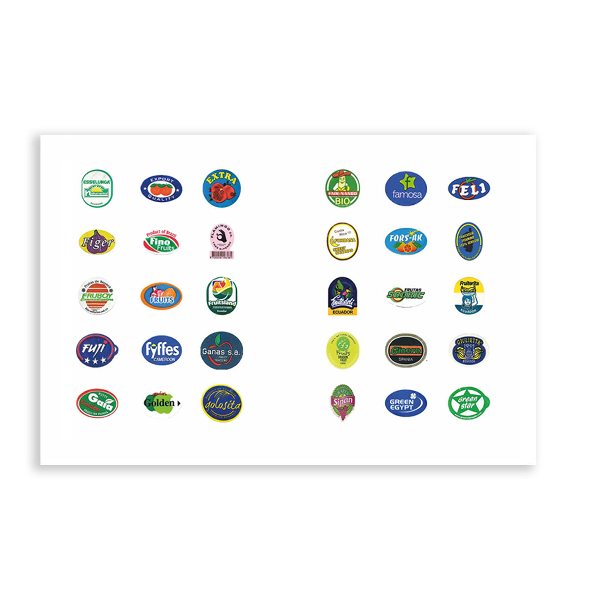 FRUIT STICKERS - by Central Books