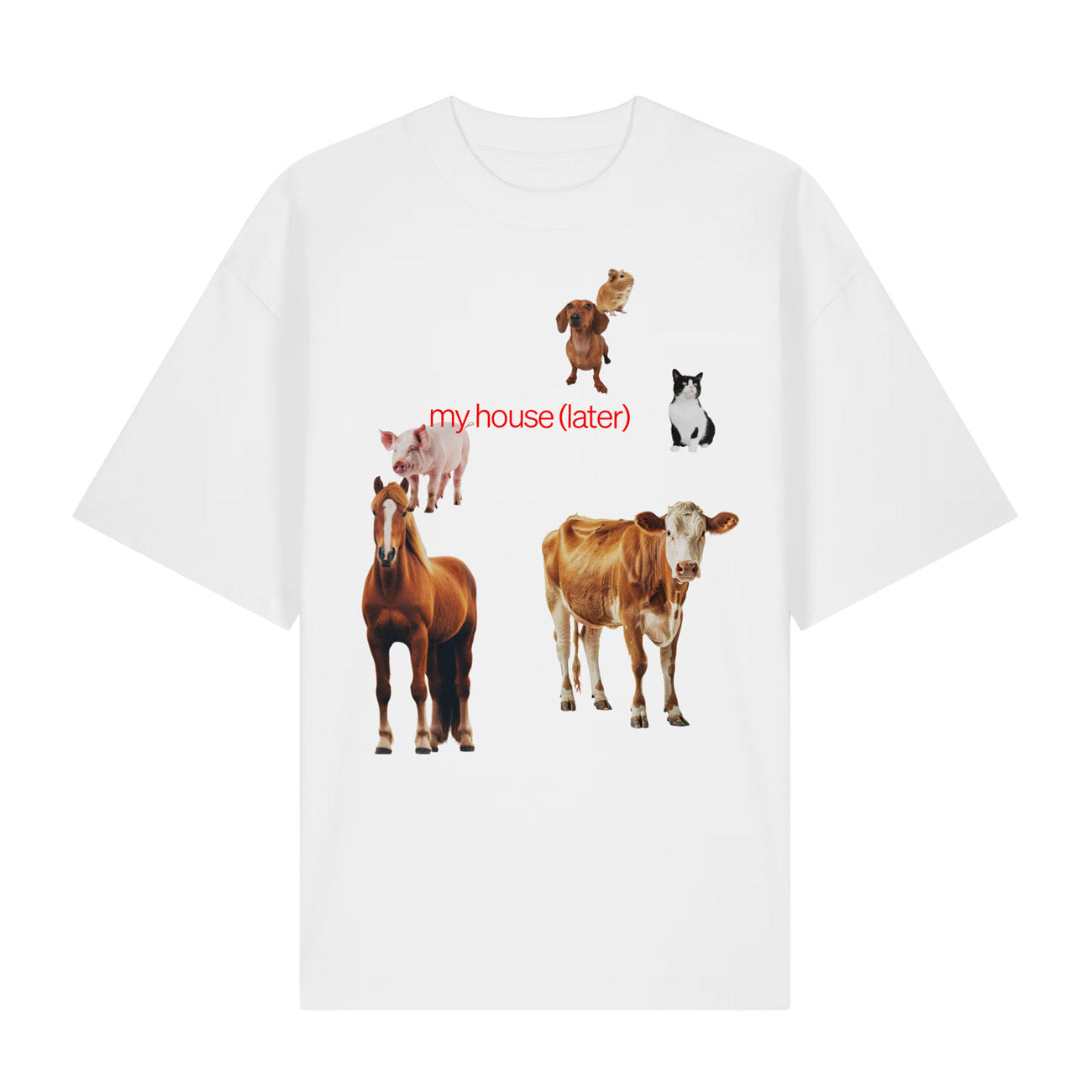 My house (later) Shirt