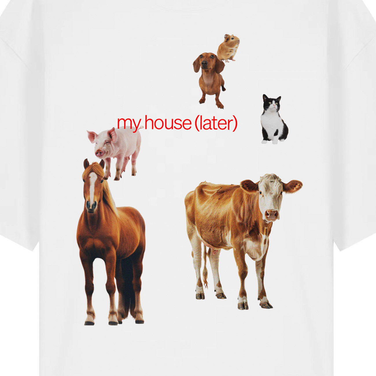 My house (later) Shirt